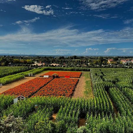 Appartamento La Rondine Pignataro Maggiore Exteriör bild