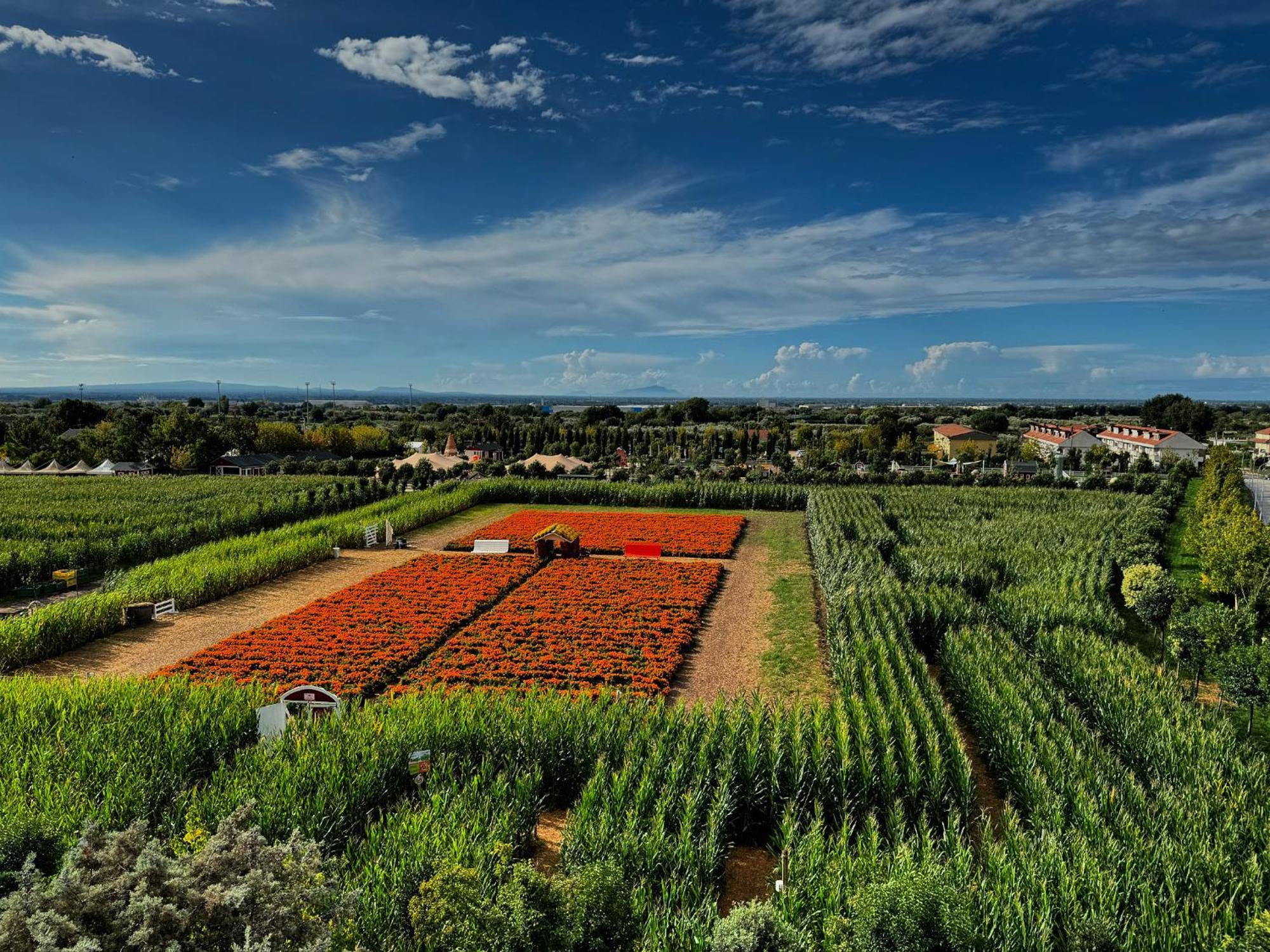 Appartamento La Rondine Pignataro Maggiore Exteriör bild